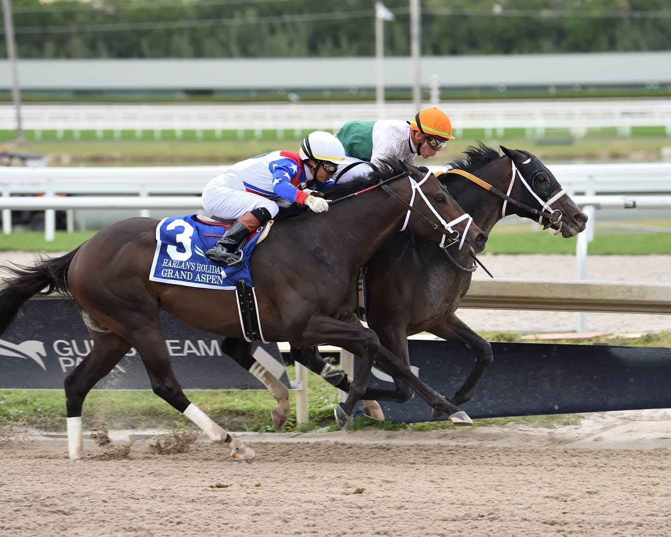 En este momento estás viendo O’Connor dio otra muestra de grandeza al ganar el Harlan’s Holiday Stakes (G3)