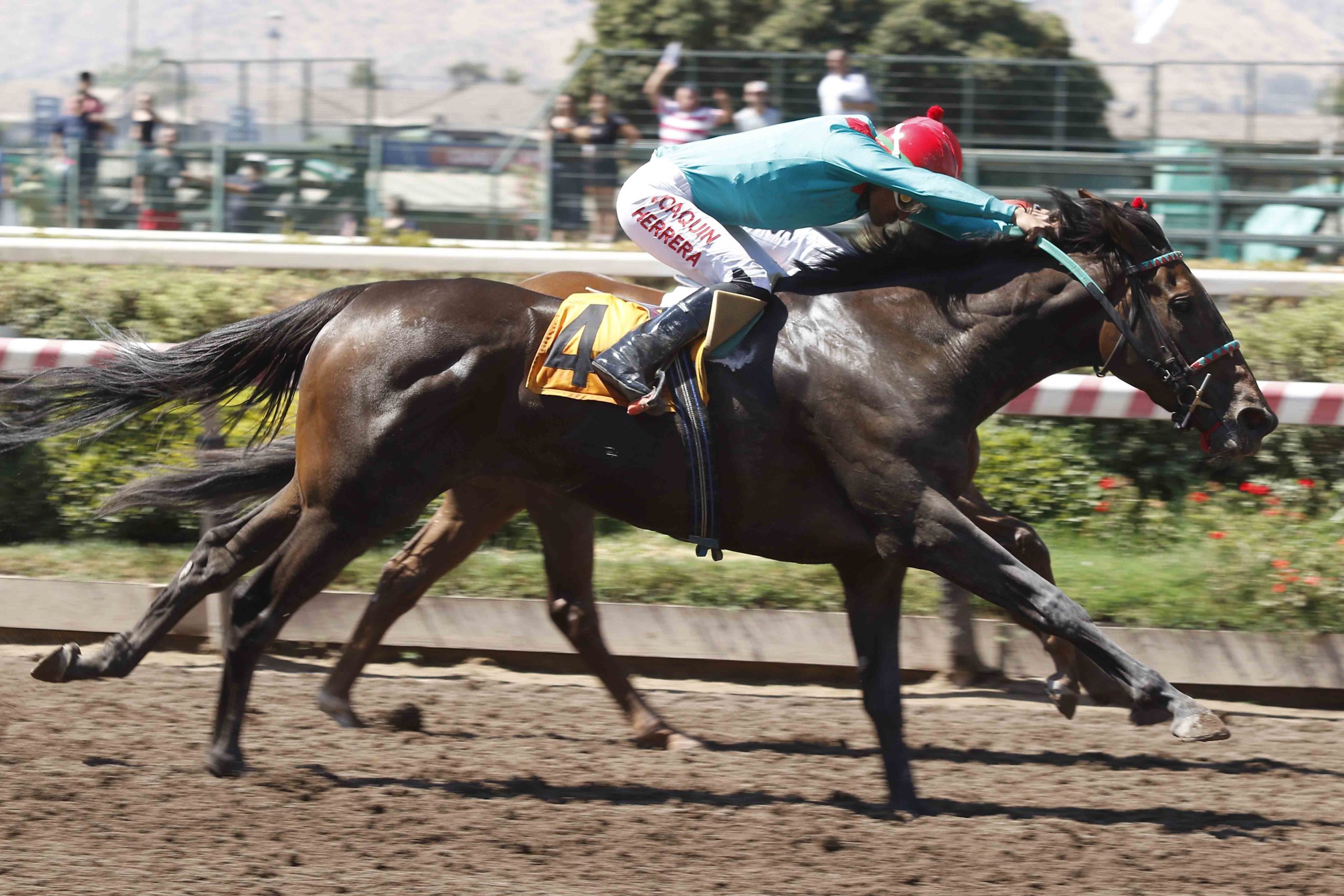 En este momento estás viendo Ondera ganó en récord tras perder en récord