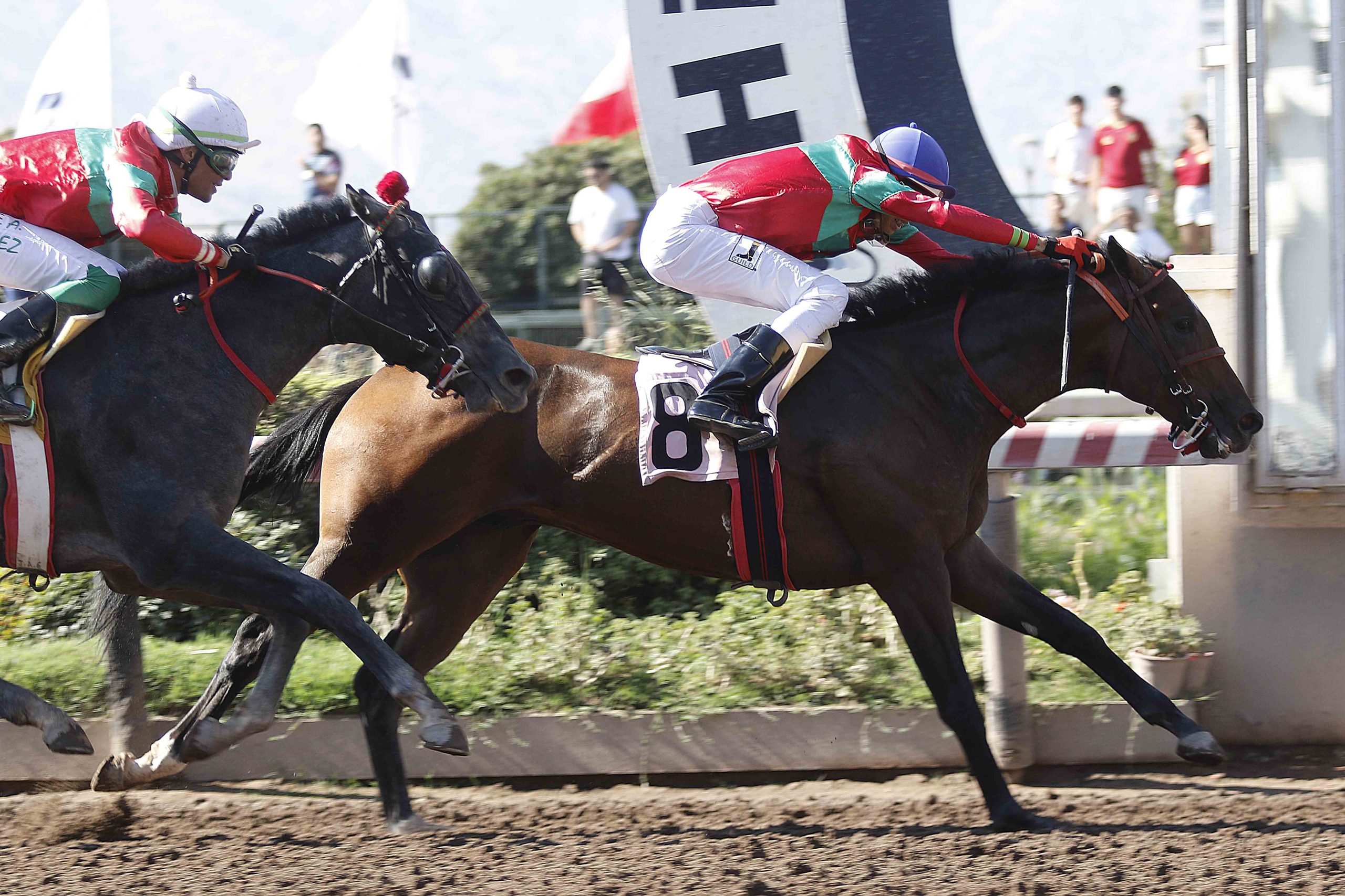 En este momento estás viendo Iron Star recuperó el tranco y marca la senda