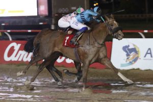 Lee más sobre el artículo ULI EL LUCHADOR TRIUNFA POR TERCERA VEZ CONSECUTIVA