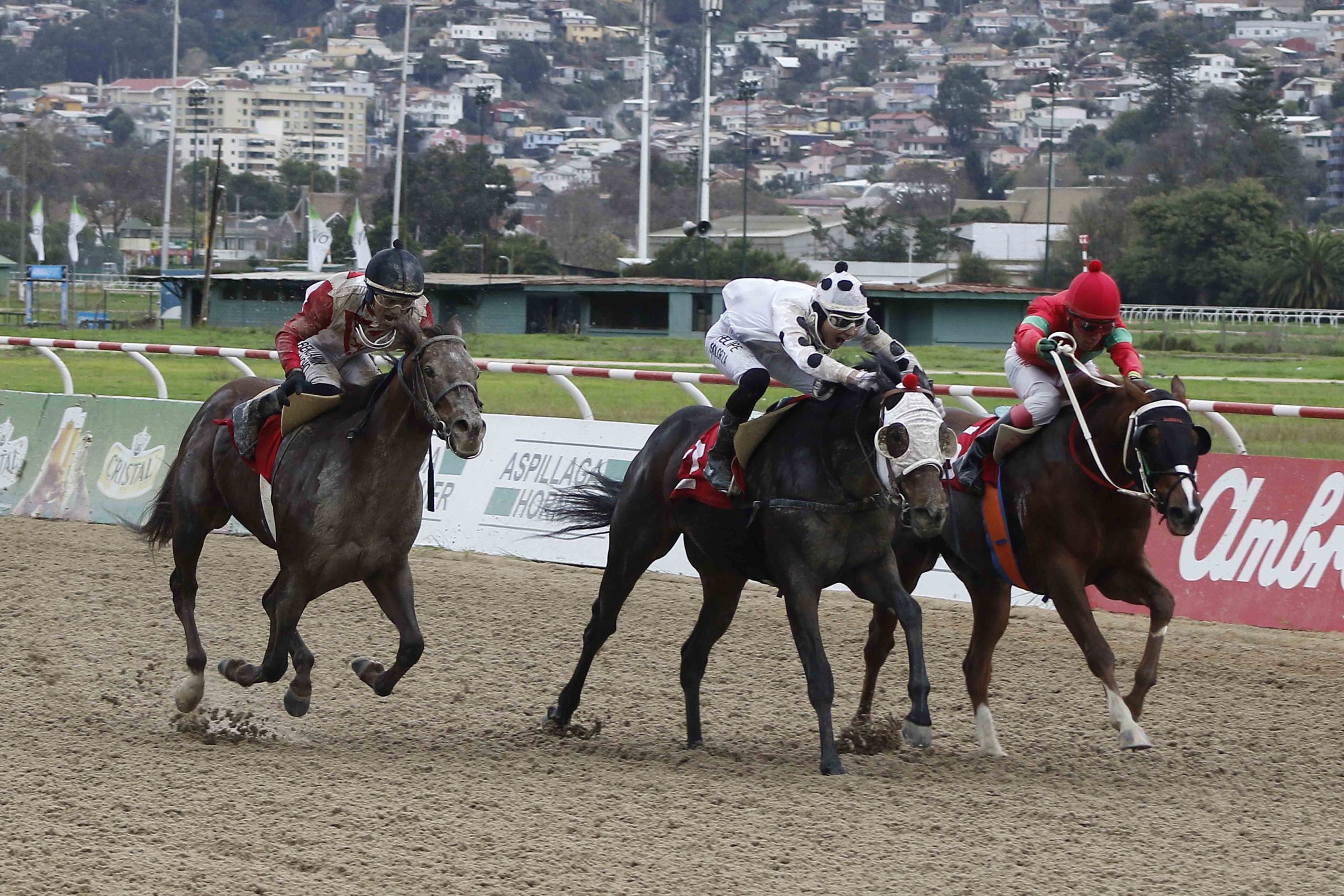 En este momento estás viendo GRAN ESPARTACO SACÓ LA GARRA EN UN ESTUPENDO FINAL DE FOTOGRAFÍA