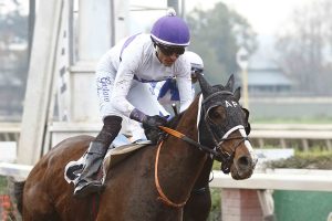 Lee más sobre el artículo PAPITO RAMÓN, CON VALENTÍA, TRIUNFÓ EN EL HIPÓDROMO CHILE