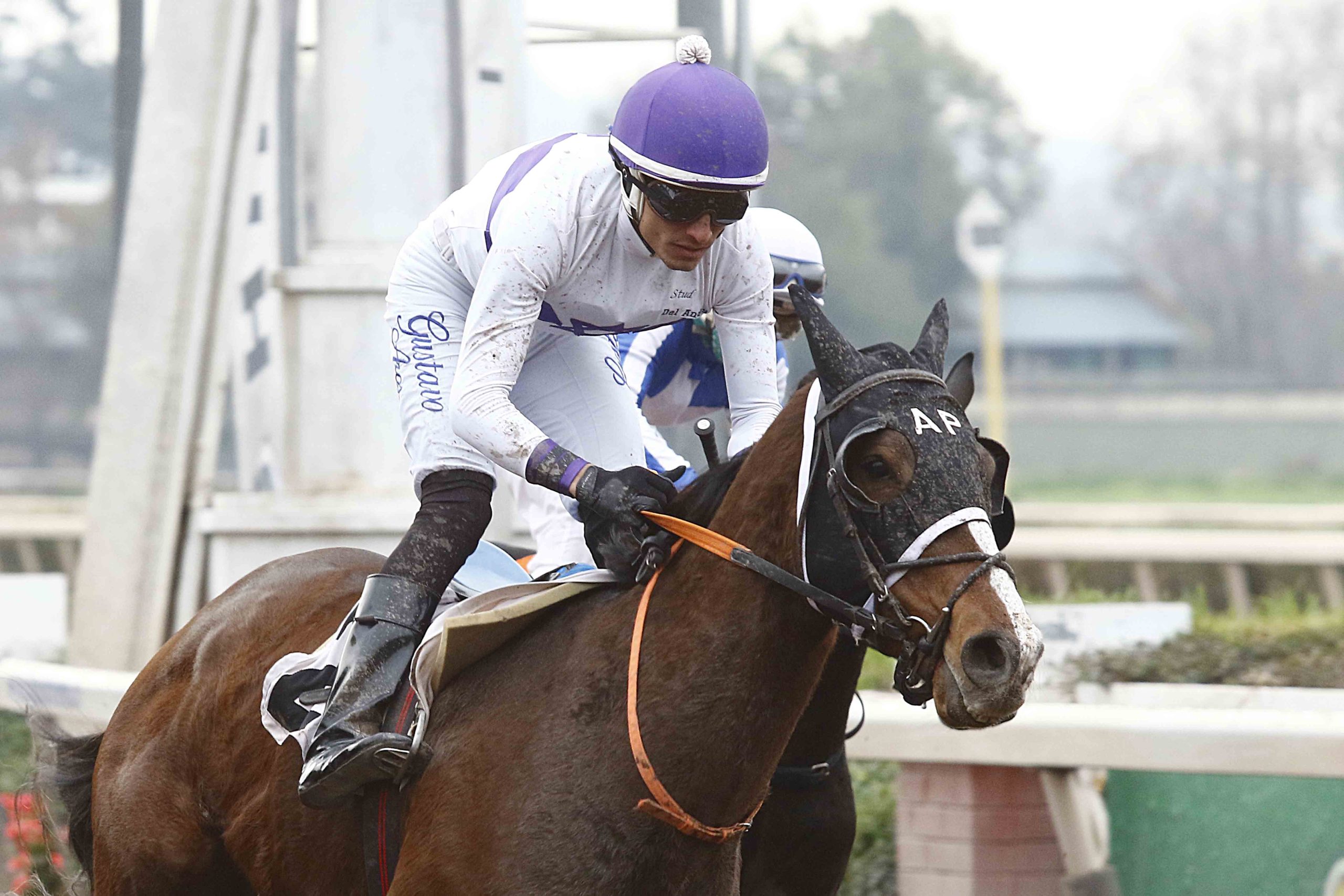En este momento estás viendo PAPITO RAMÓN, CON VALENTÍA, TRIUNFÓ EN EL HIPÓDROMO CHILE
