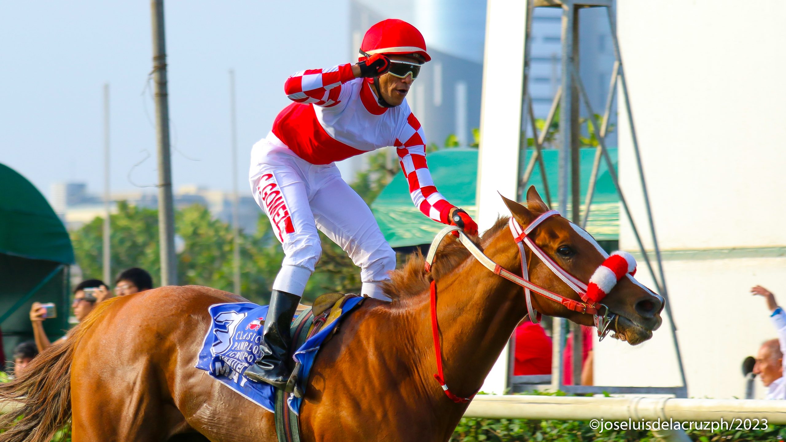 En este momento estás viendo Estas yeguas podrían ir a Breeders Cup