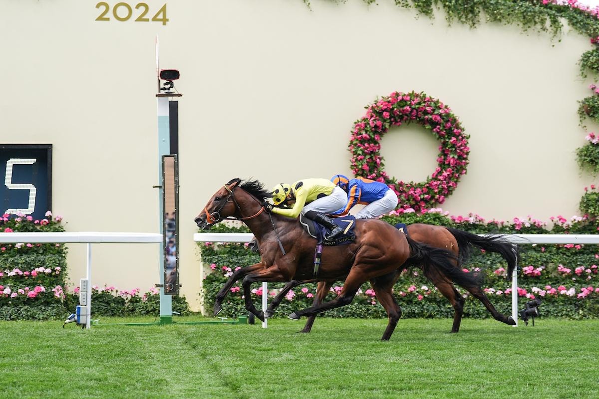 En este momento estás viendo Rosallion (Blue Point), Charyn (Dark Angel) y la australiana Asfoora (Flying Artie) brillaron en la apertura de Royal Ascot.