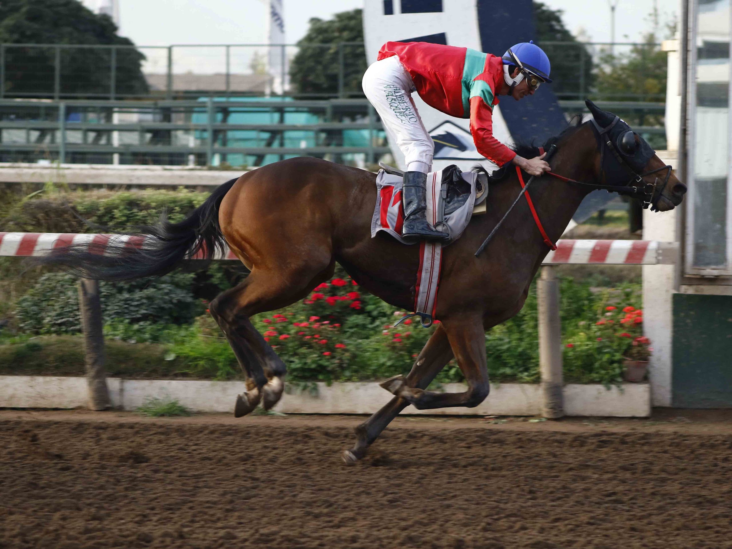 En este momento estás viendo QUEEN VALHALA DIO EL SALTO Y GANÓ CLÁSICO EN EL HIPÓDROMO CHILE