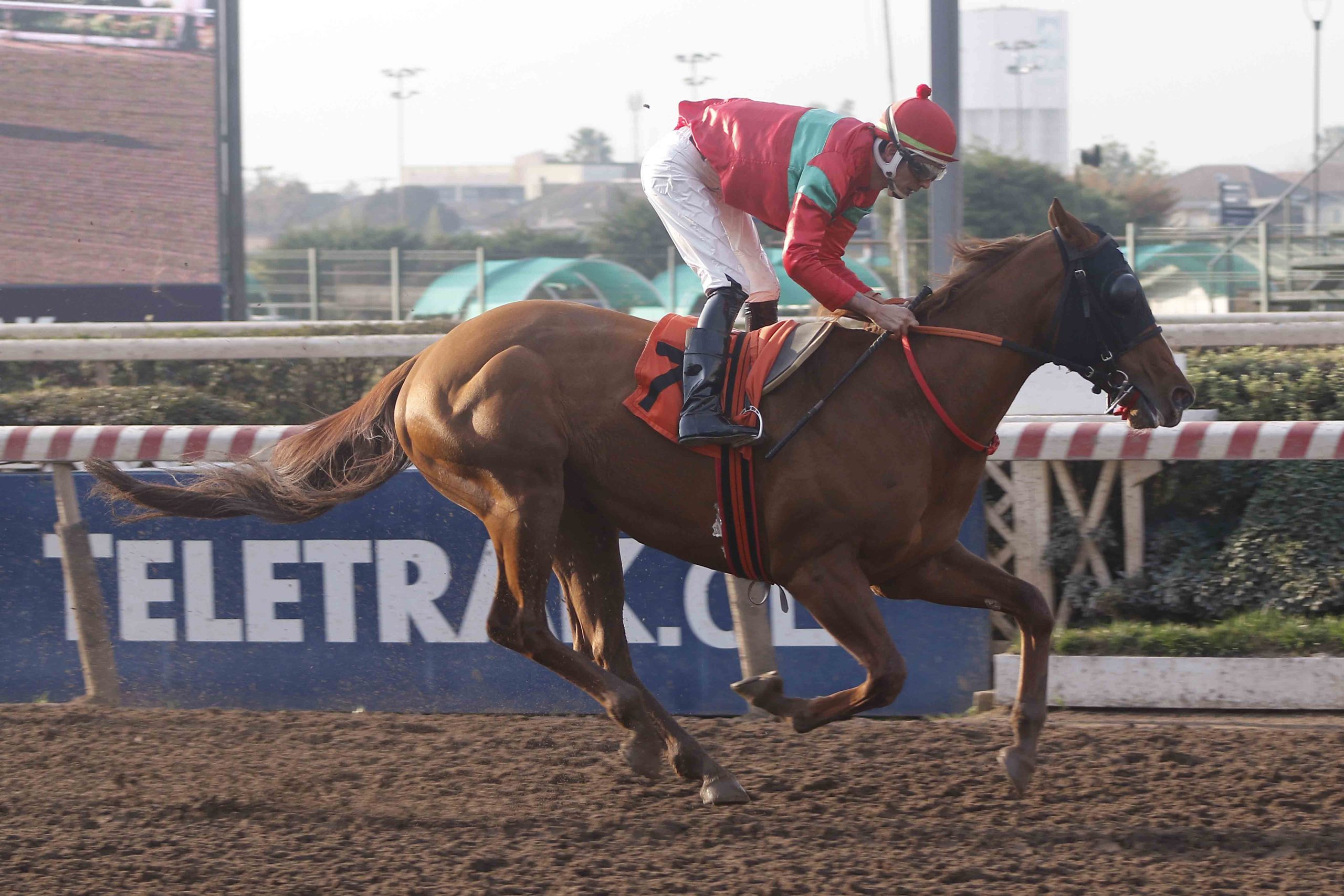 En este momento estás viendo GOLDEN LEOPARD SE RECUPERÓ Y OBTUVO UN BUEN TRIUNFO