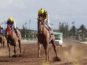 Lee más sobre el artículo MAGIC FLAME, DEBUTA EN LA PISTA DE ARENA