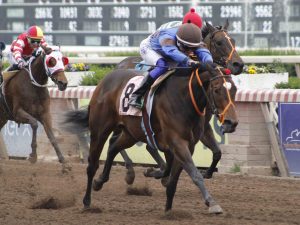 Lee más sobre el artículo MELIQUE SE DESQUITÓ DEL CRITERIUM Y TRIUNFÓ EN EL CHILE