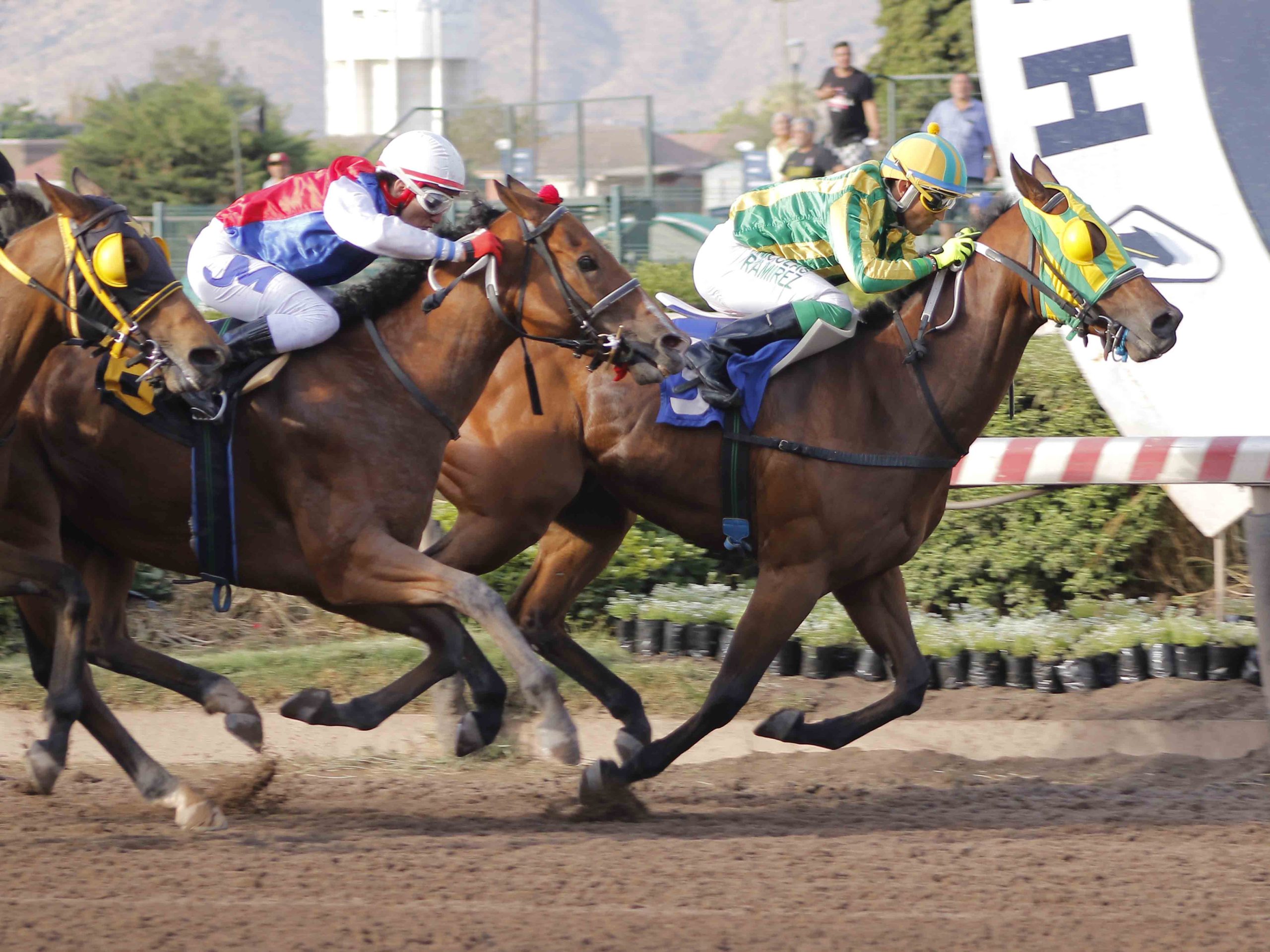 En este momento estás viendo BEACH COLT FUE EL MAS RAPIDO DEL VERTIGO PALMEÑO