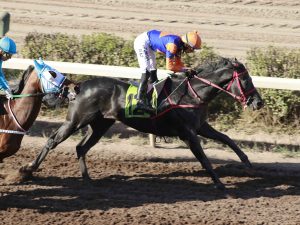 Lee más sobre el artículo OKUI AHORA ES DE CARÁCTER CLÁSICO