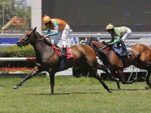 Lee más sobre el artículo PADURA LOGRÓ EL ESTELAR BREEDER’S CUP