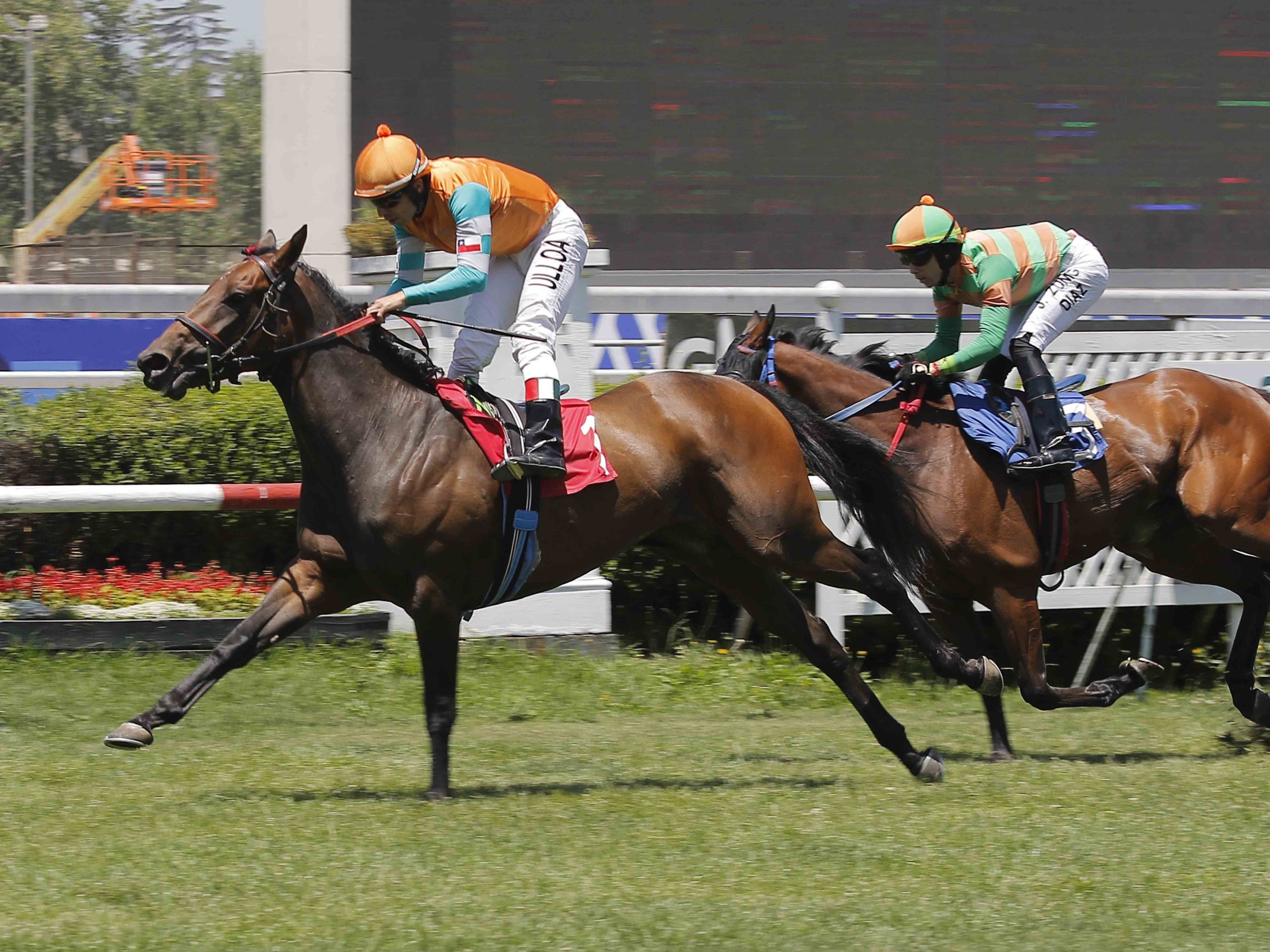 En este momento estás viendo PADURA LOGRÓ EL ESTELAR BREEDER’S CUP