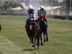 Lee más sobre el artículo ICHUAC, UNA MINA DE ORO ECHO CABALLO