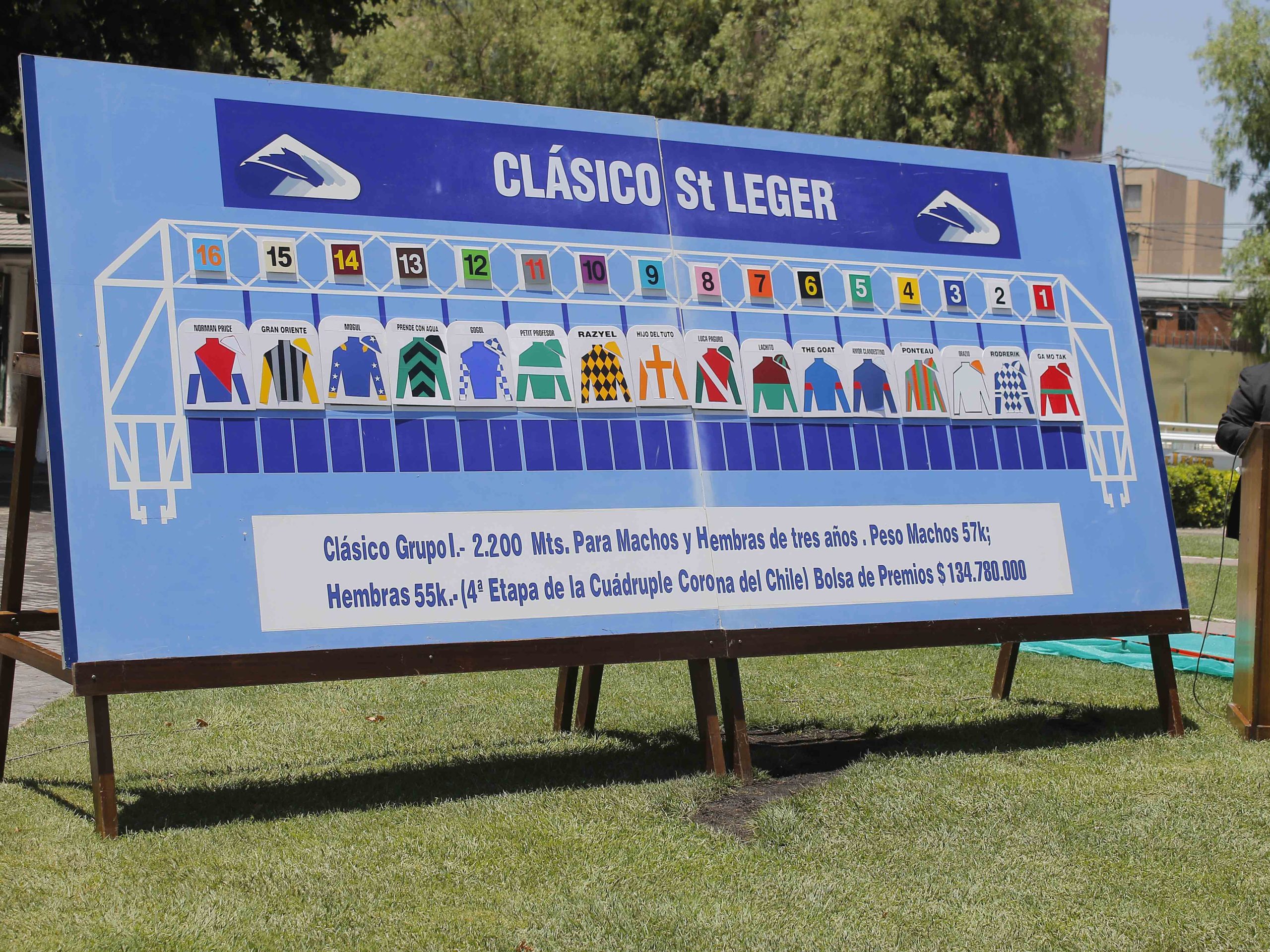En este momento estás viendo THE GOAT PARTIRÁ DESDE EL CAJÓN NUMERO 6 EN EL ST LEGER (G1)
