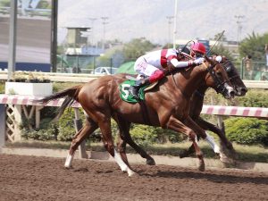 Lee más sobre el artículo LERICI, VALIENTE TRIUNFO EN EL FONDO PALMEÑO