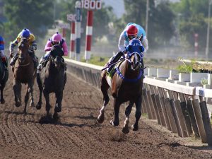 Lee más sobre el artículo MERMET DESPIDE EL AÑO EN EL HIPÓDROMO CHILE