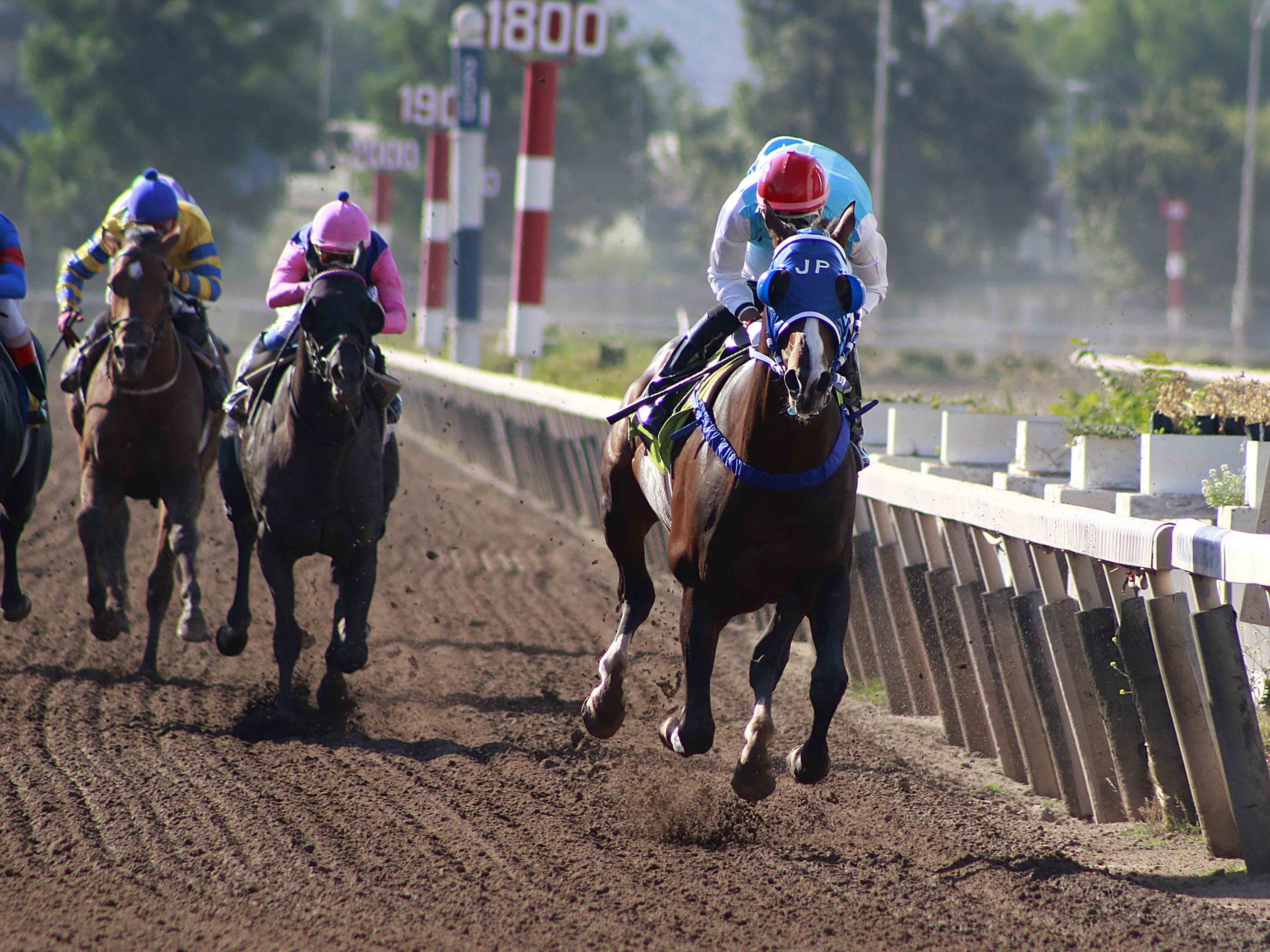 En este momento estás viendo MERMET DESPIDE EL AÑO EN EL HIPÓDROMO CHILE