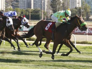 Lee más sobre el artículo COURAGE EN VIOLENTA ATROPELLADA GANA LA COPA EL MERCURIO