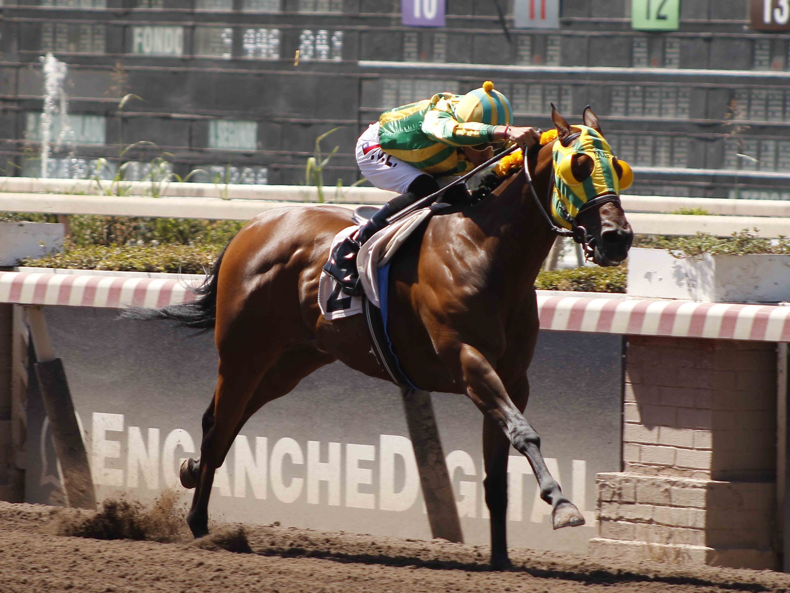 En este momento estás viendo BEACH COLT, UN ESPECIALISTA DEL VÉRTIGO PALMEÑO