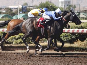 Lee más sobre el artículo EL BATEY SORPRENDIÓ A MAS DE UNO