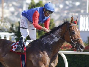 Lee más sobre el artículo CASTOR TROY GANÓ CÓMODAMENTE EN CLÁSICO