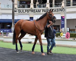 Lee más sobre el artículo DOÑA CLOTA FUE EXHIBIDA HOY EN GULFSTREAM PARK