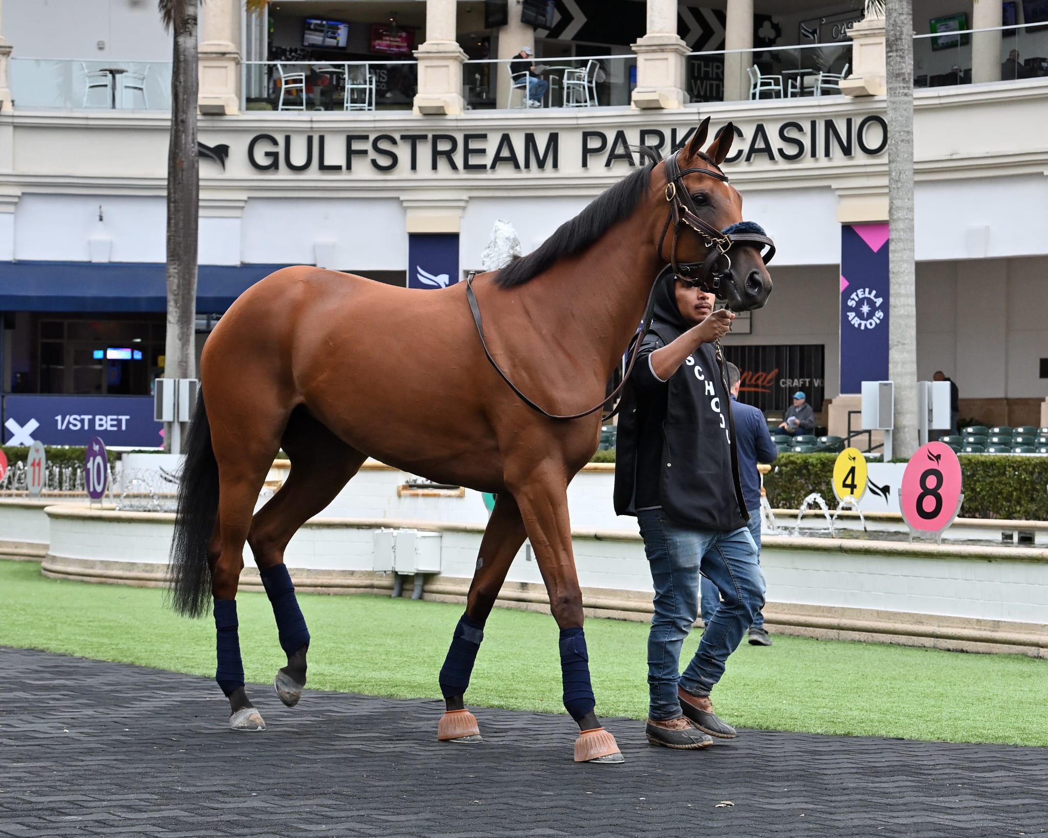 En este momento estás viendo DOÑA CLOTA FUE EXHIBIDA HOY EN GULFSTREAM PARK