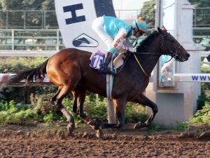 Lee más sobre el artículo Apolo Rey, monarca absoluto
