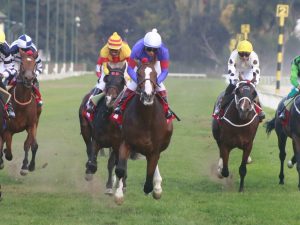 Lee más sobre el artículo HOTU MATUA DIO EL PRIMER GOLPE EN LA TRIPLE CORONA 2 AÑOS