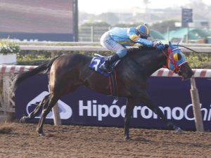 Lee más sobre el artículo  Elegant Champion, clasiquero de clase