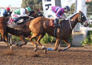 Lee más sobre el artículo Star Dreams, una realidad