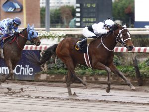 Lee más sobre el artículo Warnasitay se afianza en la velocidad