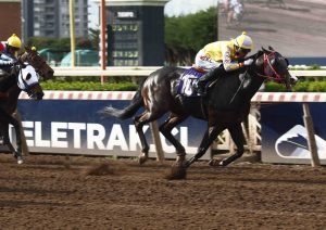 Lee más sobre el artículo Tatanka dejó su marca