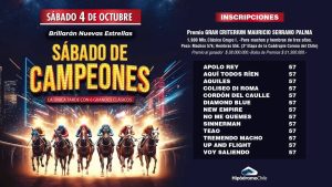 Lee más sobre el artículo Éstos son los 13 inscritos para el Gran Criterium 2025