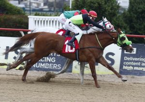 Lee más sobre el artículo  MAX ALL INCLASICO NICOLAS CANESSA MONTT