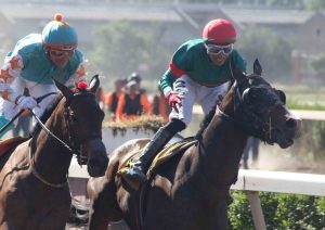 Lee más sobre el artículo New Empire, el campeón está de vuelta