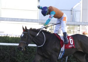 Lee más sobre el artículo ECCENTRIC, CAMPEONA NACIONAL