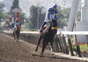 Lee más sobre el artículo Floriana se hizo fuerte