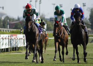 Lee más sobre el artículo SALTO ETERNO SIGUE CRECIENDO