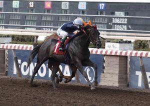 Lee más sobre el artículo Kauto y Pillo al fin tuvo su premio estelar
