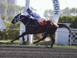 Lee más sobre el artículo NEGRO BUENO, Ganó el Primer Clásico.