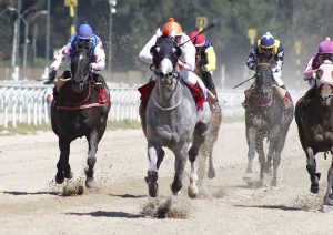Lee más sobre el artículo Translúcido coronó su invicto viñamarino con su primer grito jerárquico