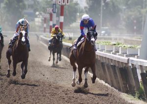 Lee más sobre el artículo Mogul derribó al campeón