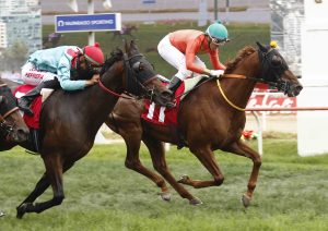 Lee más sobre el artículo Lonwhite tiene contratada la foto en el Derby day