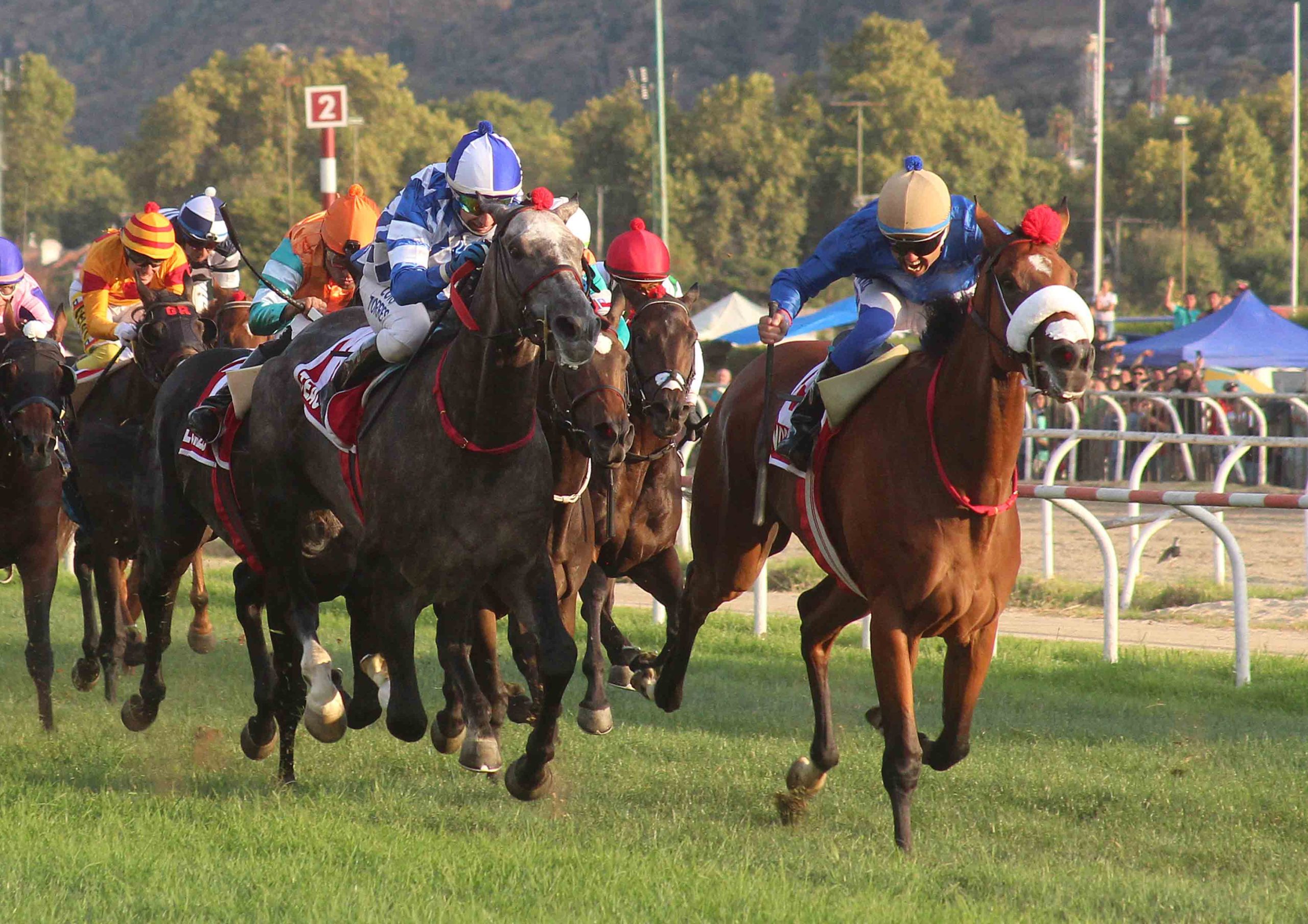 En este momento estás viendo Mágico hay uno solo!!!! Teao se quedó con el Derby (G1) con un Luis Torres soberbio