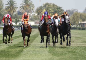 Lee más sobre el artículo Frateli la Vita resistió hasta el final para repetir en el Haras de Chile (L)
