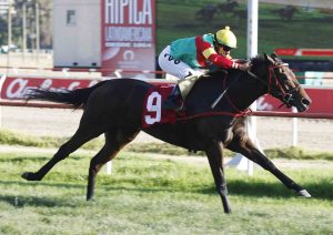 Lee más sobre el artículo Velatri ganó su primer clásico estrenándose en Viña del Mar