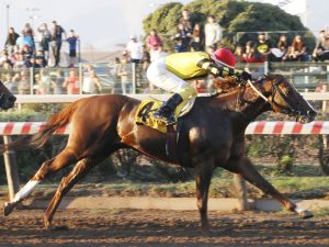 Lee más sobre el artículo Presente Cha sigue firme
