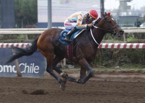 Lee más sobre el artículo Shark repitió la dosis y dejó claro que es el mejor caballo mayor de La Palma